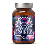 OstroVit Braintus Focus 90 kapslit