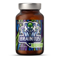 OstroVit Braintus Respawn 90 kapslit