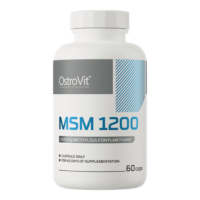 OstroVit MSM 1200 mg 60 kapslit